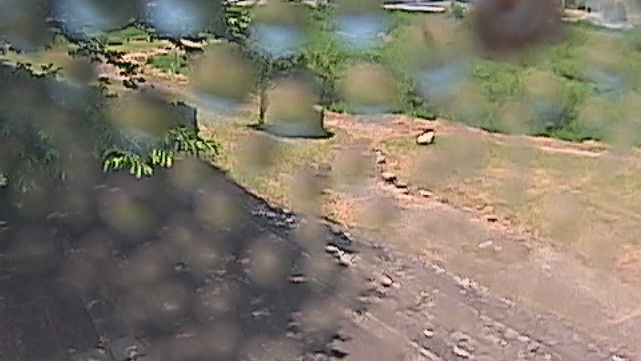 新袋川・袋川　6.2ｋｍ左岸