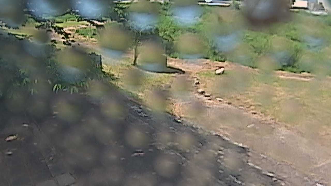 新袋川・袋川　6.2ｋｍ左岸