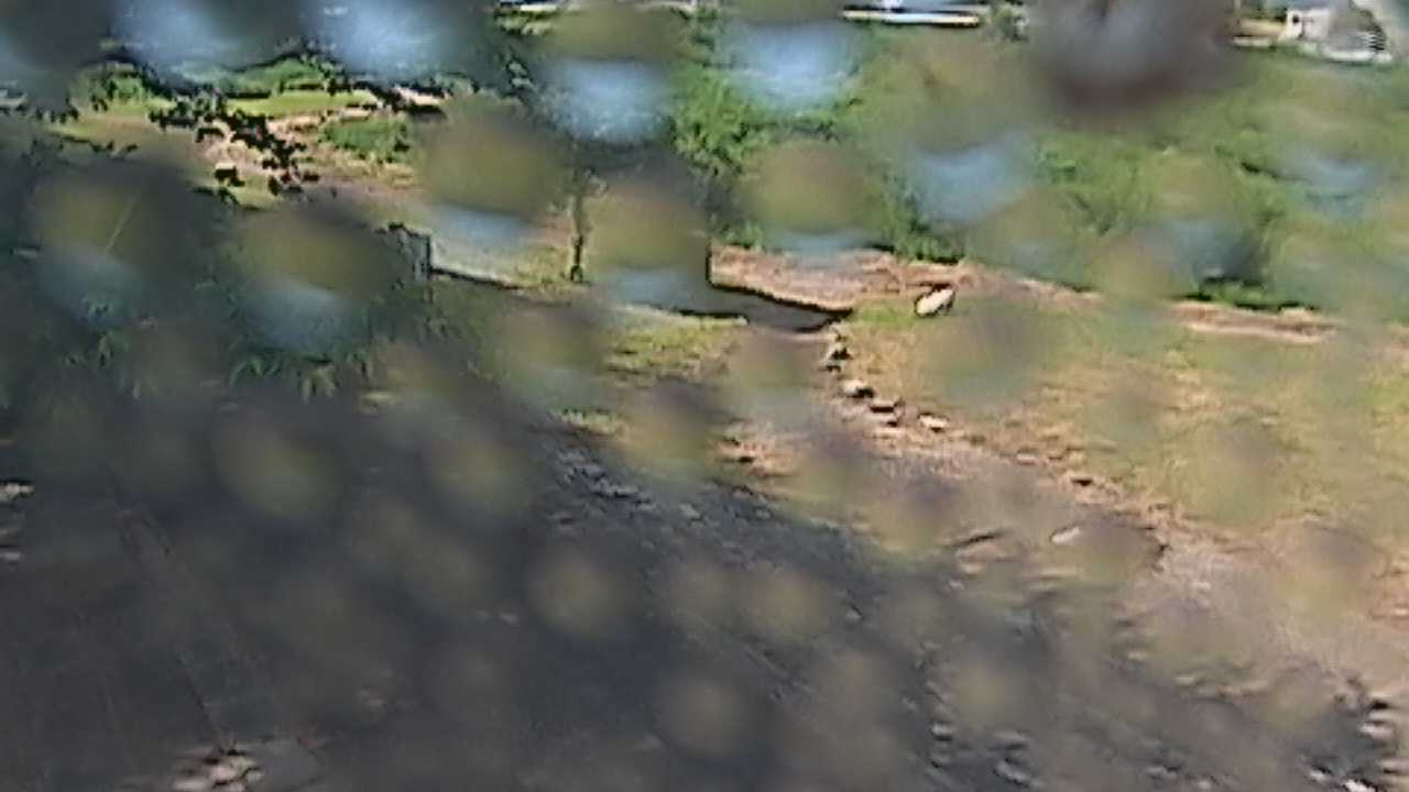 新袋川・袋川　6.2ｋｍ左岸