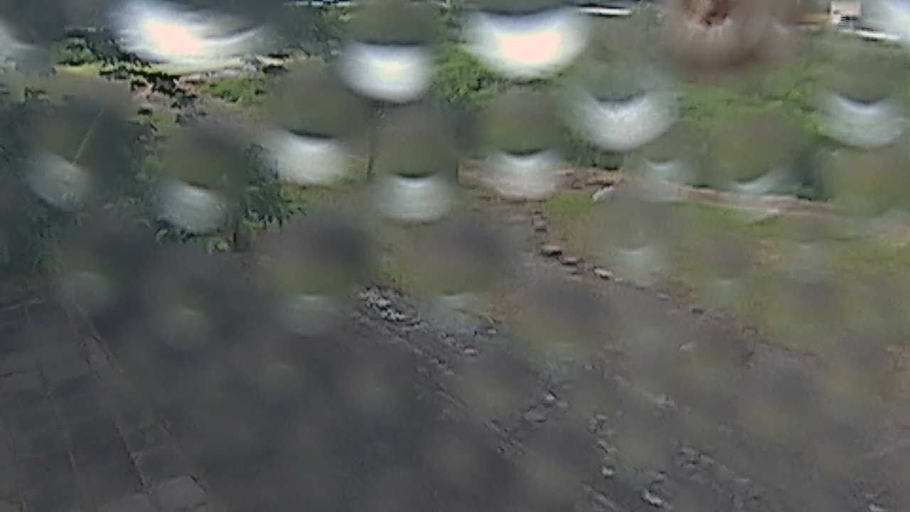新袋川・袋川　6.2ｋｍ左岸