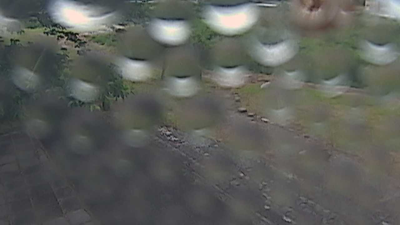 新袋川・袋川　6.2ｋｍ左岸