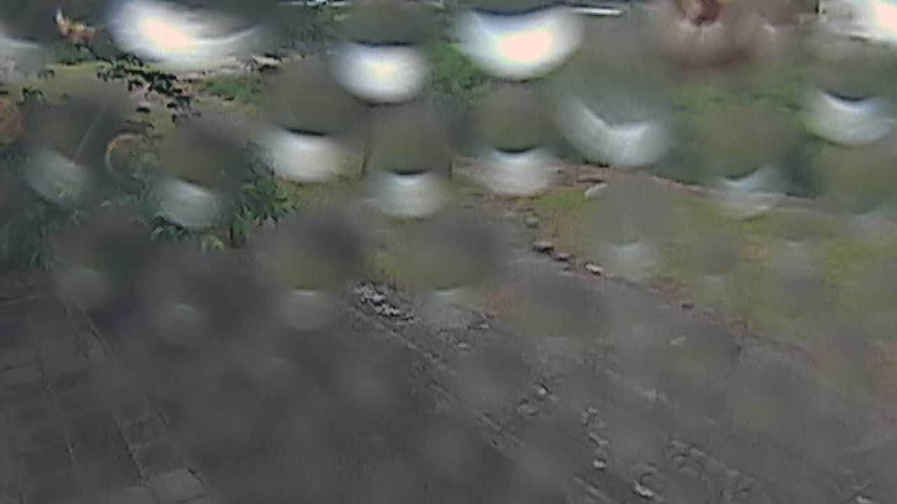 新袋川・袋川　6.2ｋｍ左岸