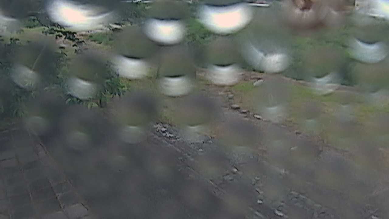 新袋川・袋川　6.2ｋｍ左岸