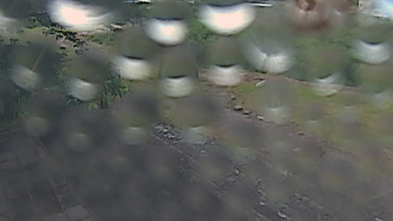新袋川・袋川　6.2ｋｍ左岸