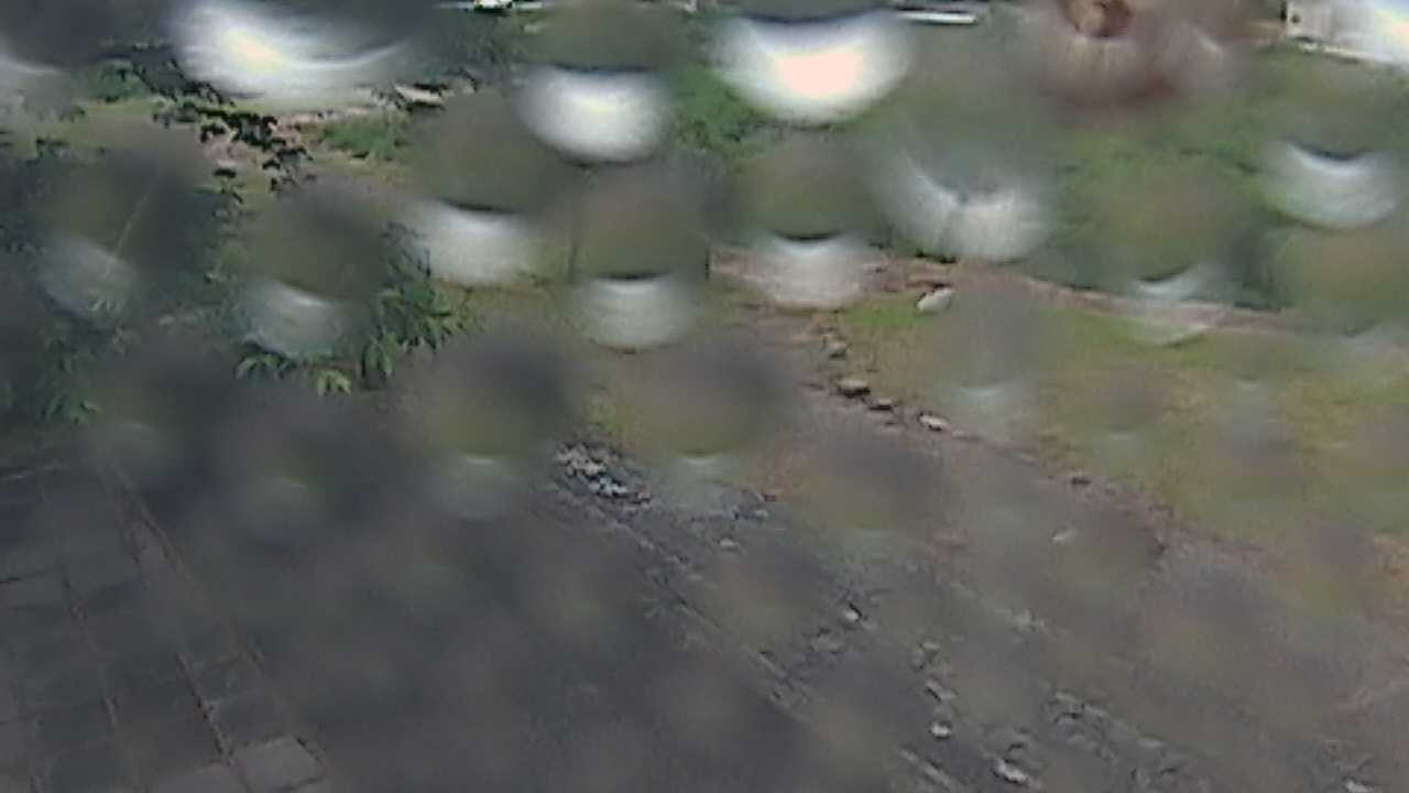 新袋川・袋川　6.2ｋｍ左岸