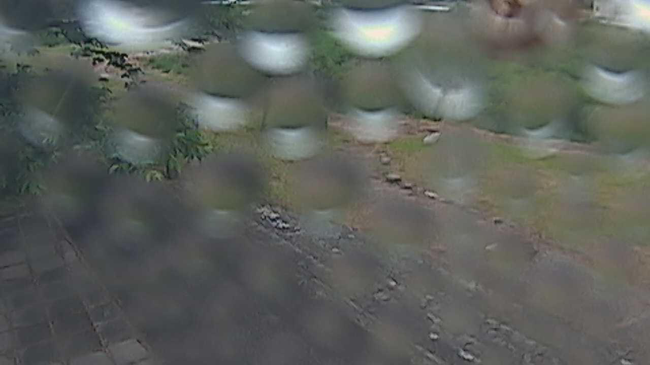 新袋川・袋川　6.2ｋｍ左岸