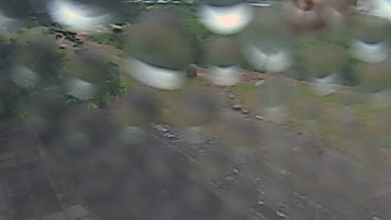 新袋川・袋川　6.2ｋｍ左岸
