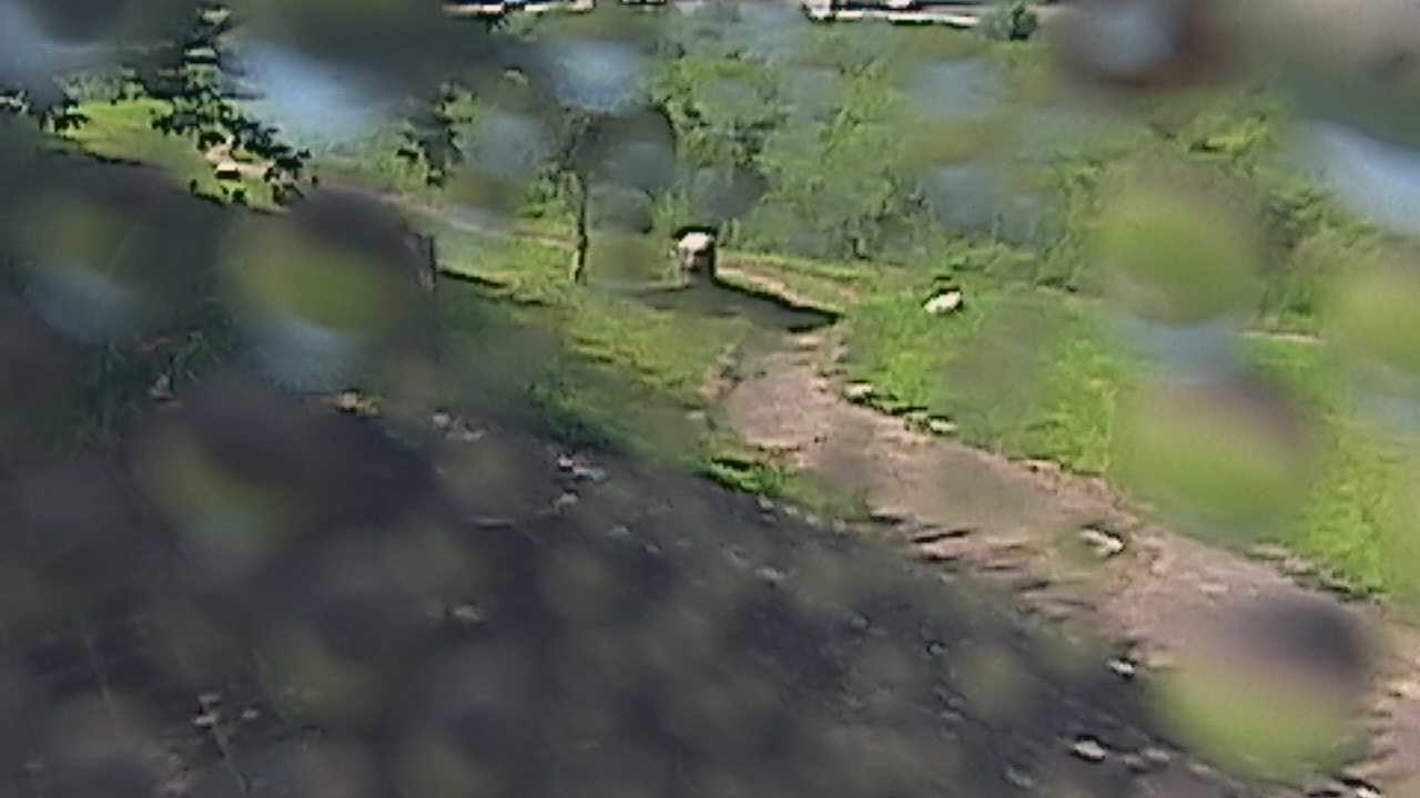 新袋川・袋川　6.2ｋｍ左岸