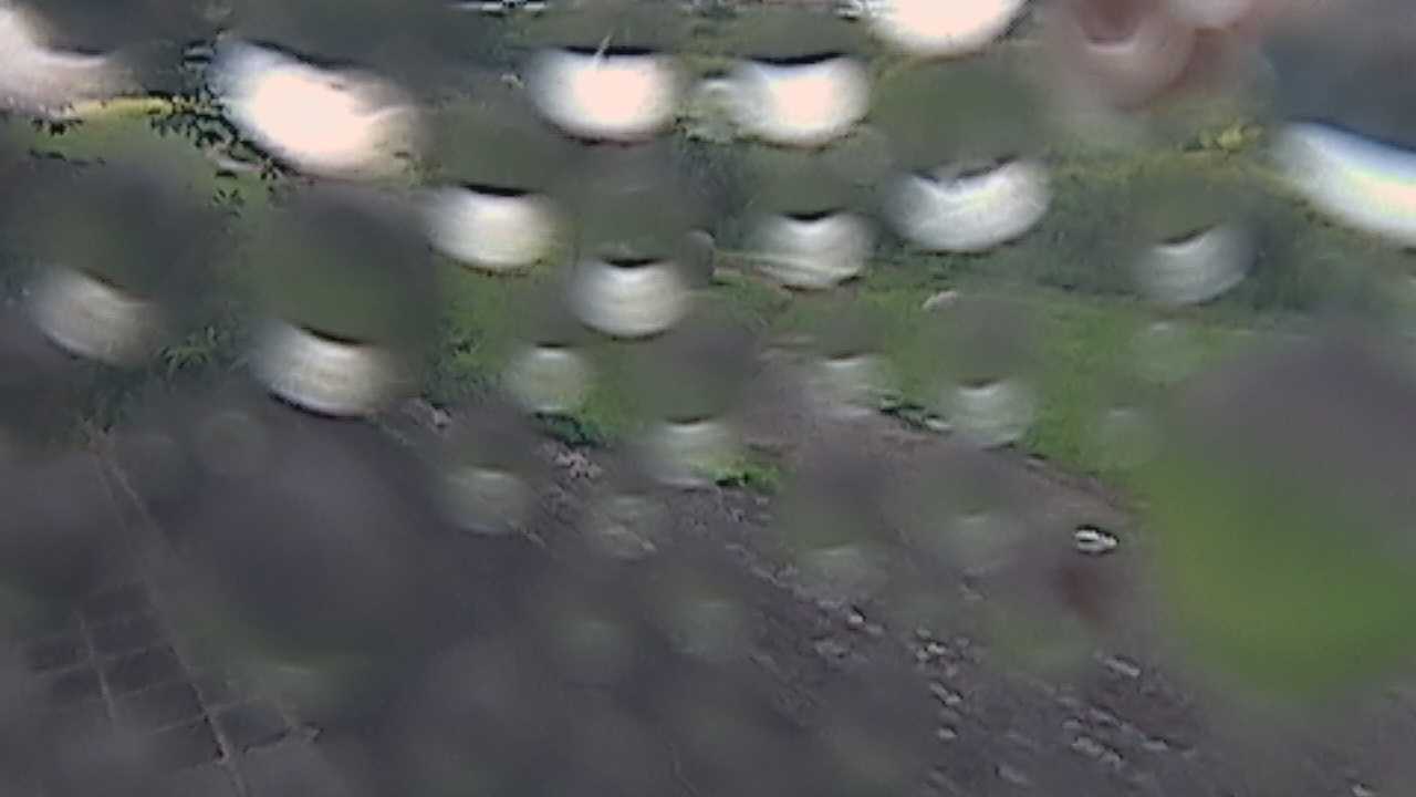 新袋川・袋川　6.2ｋｍ左岸