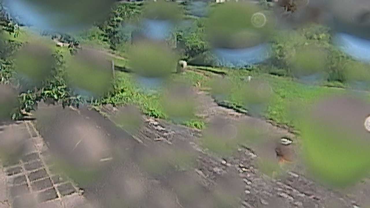 新袋川・袋川　6.2ｋｍ左岸