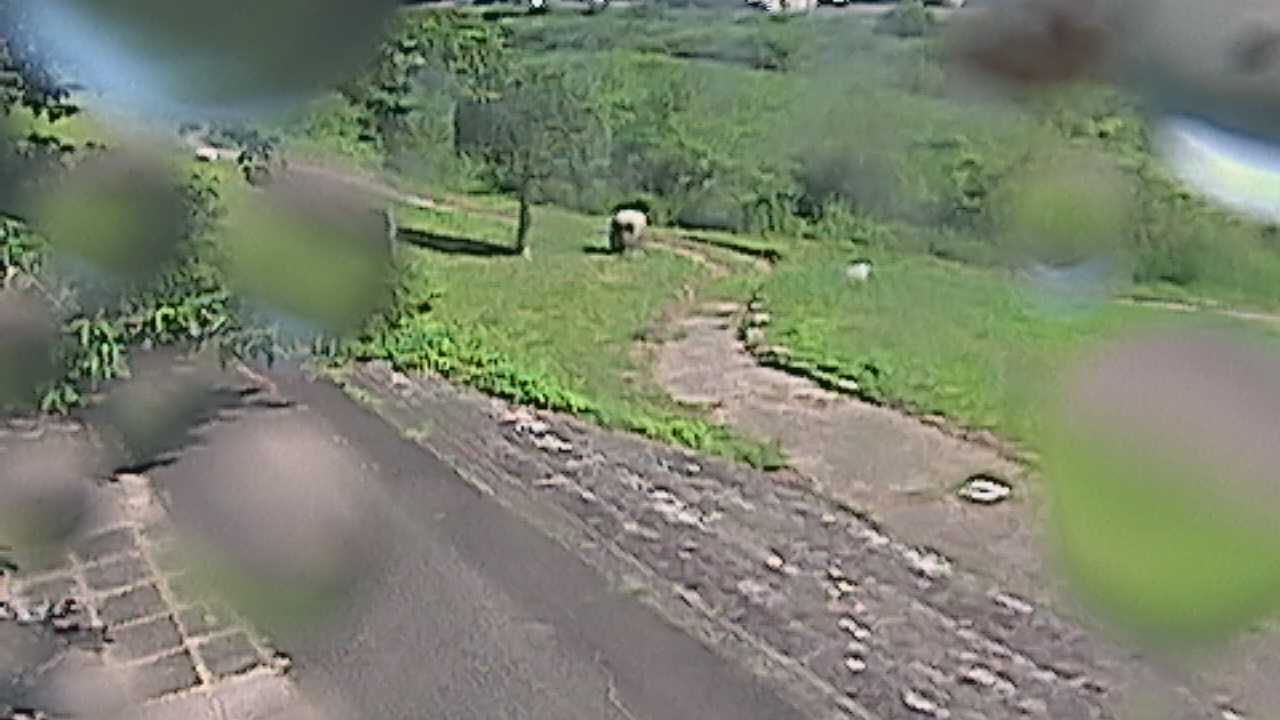 新袋川・袋川　6.2ｋｍ左岸