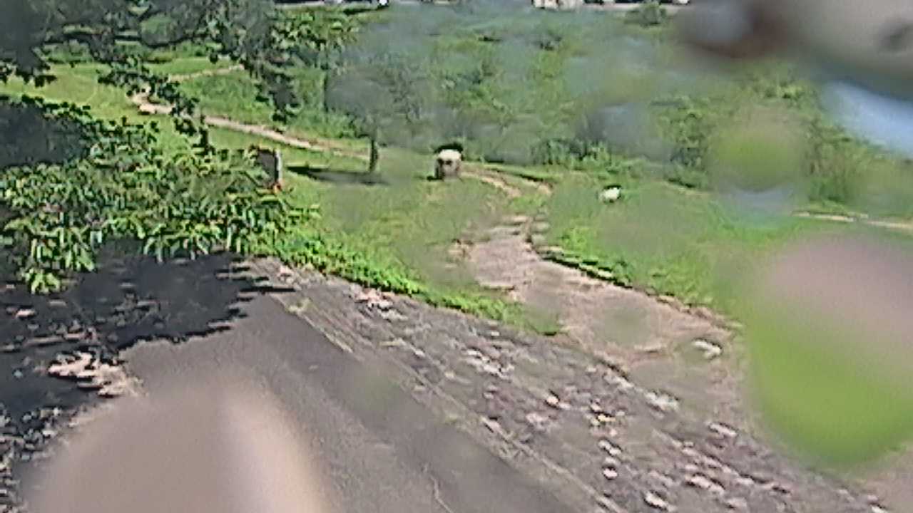 新袋川・袋川　6.2ｋｍ左岸