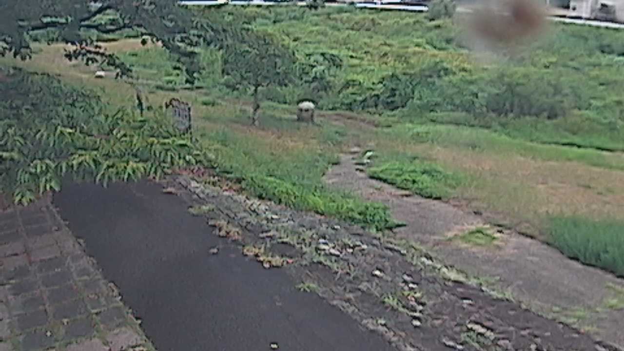 新袋川・袋川　6.2ｋｍ左岸