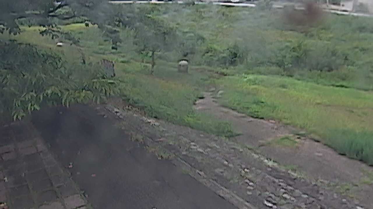 新袋川・袋川　6.2ｋｍ左岸