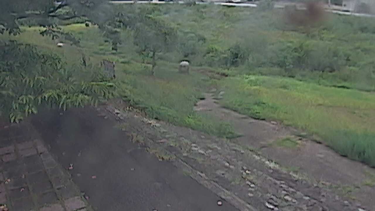 新袋川・袋川　6.2ｋｍ左岸