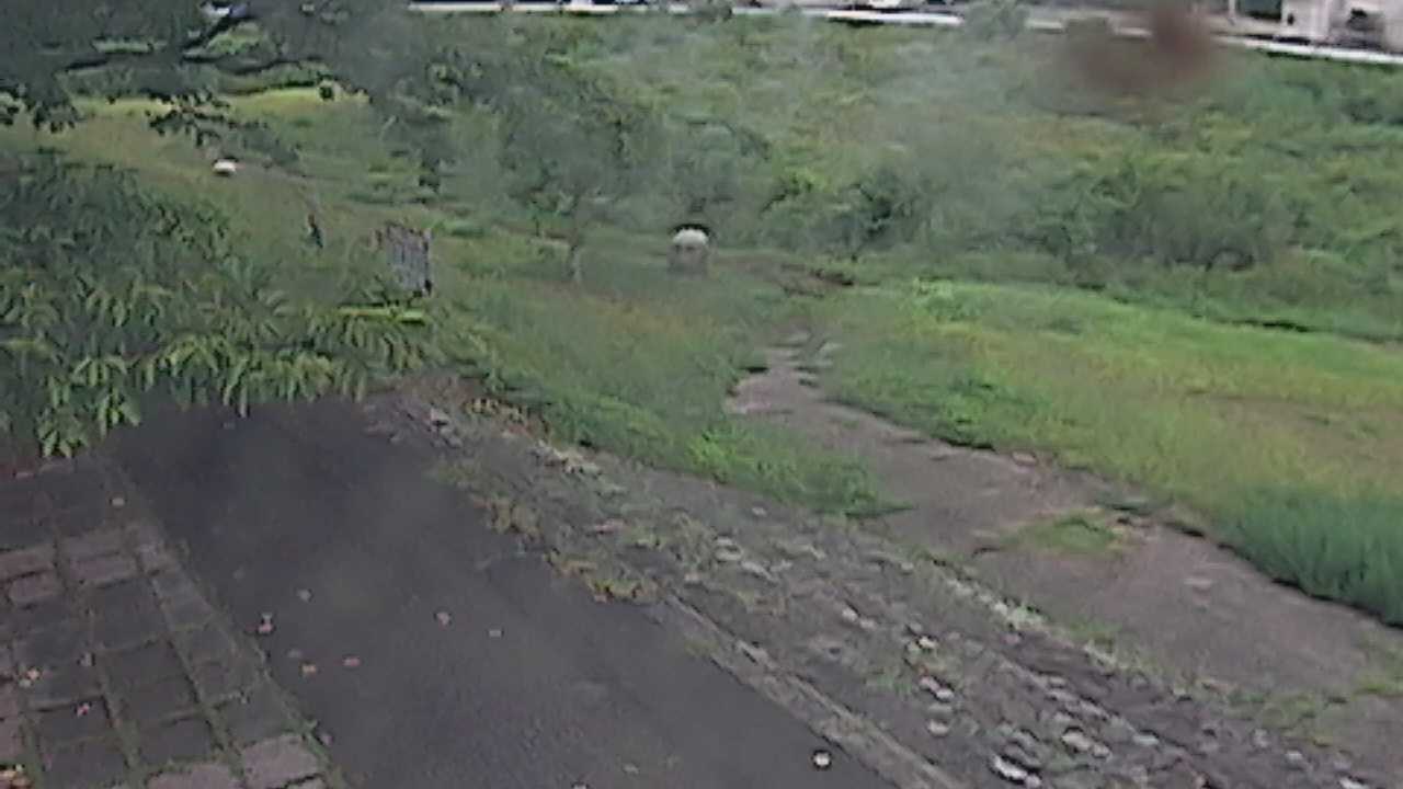 新袋川・袋川　6.2ｋｍ左岸