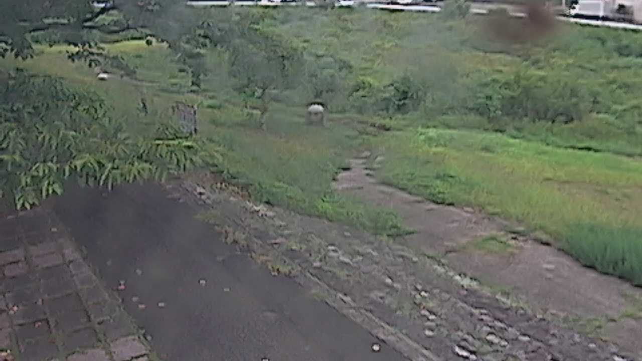 新袋川・袋川　6.2ｋｍ左岸