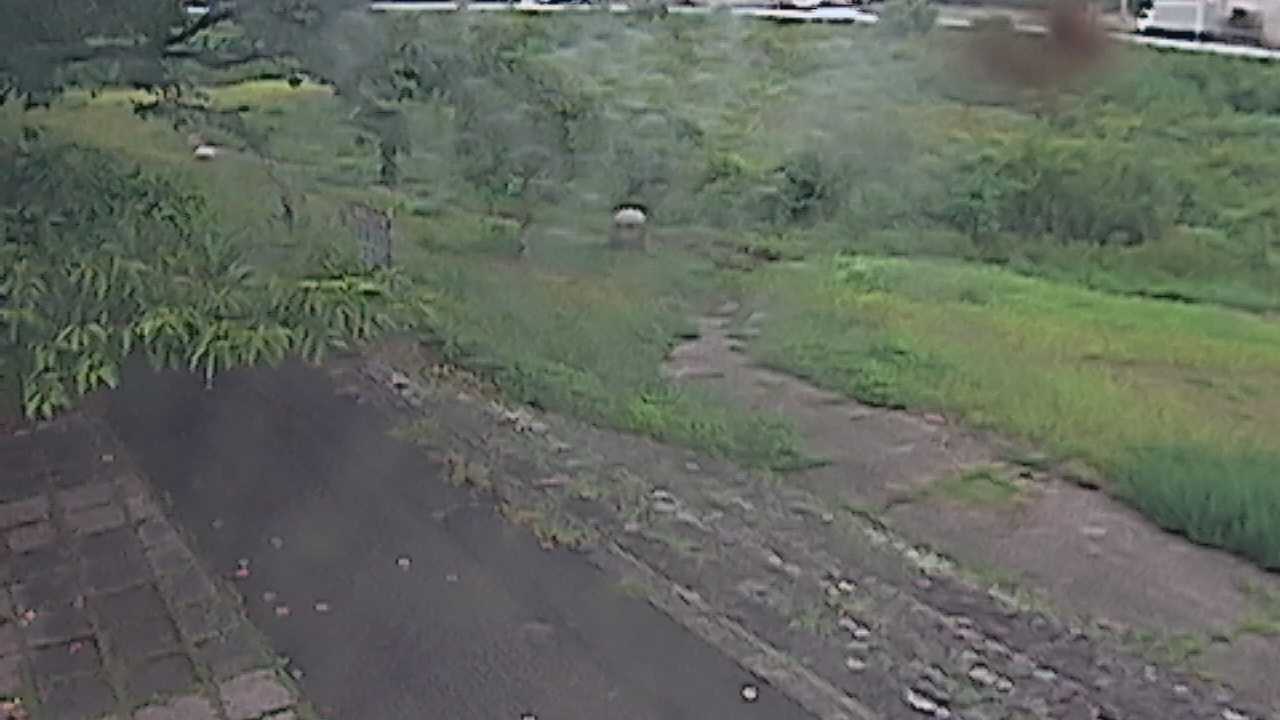 新袋川・袋川　6.2ｋｍ左岸