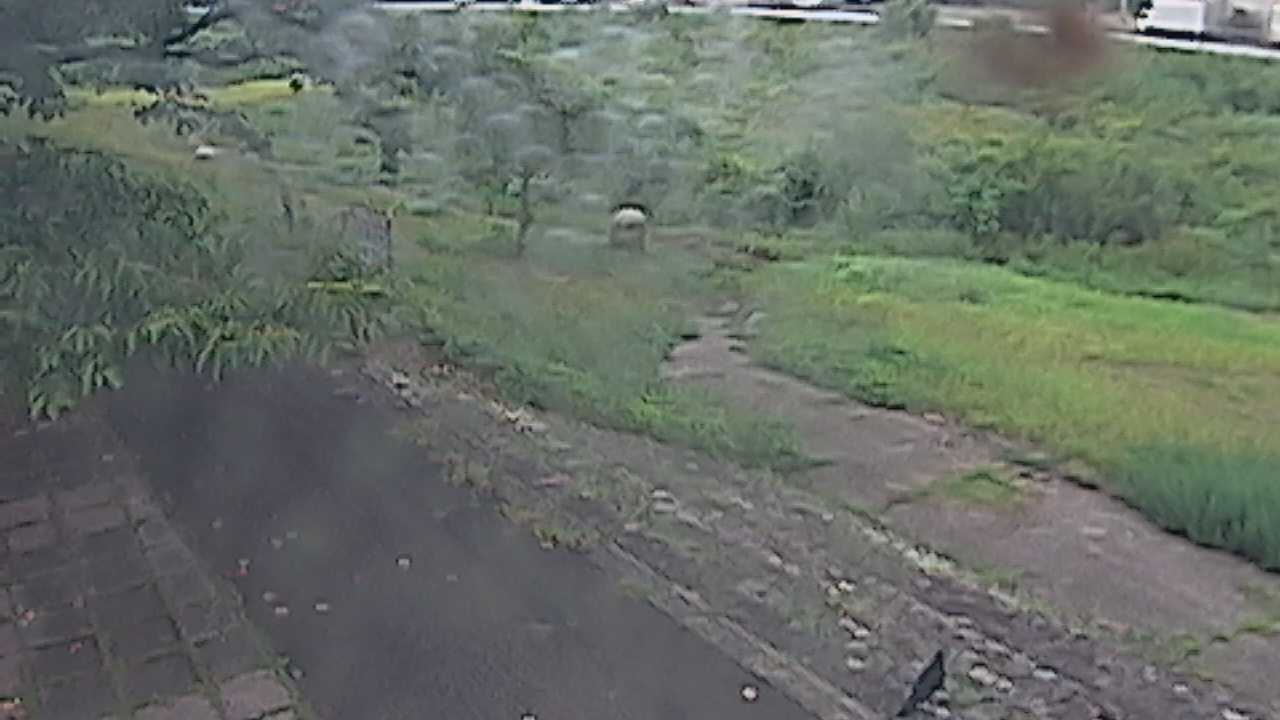 新袋川・袋川　6.2ｋｍ左岸