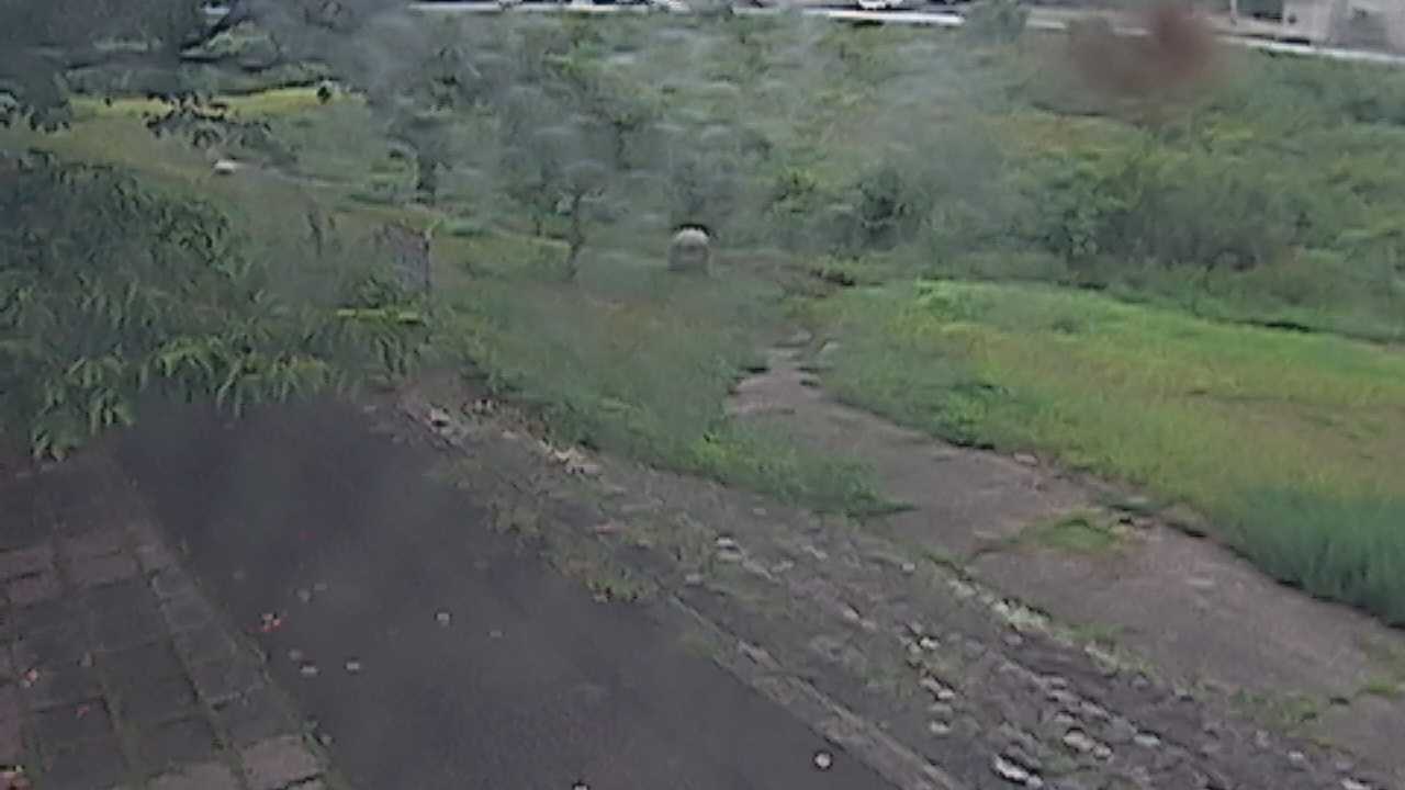 新袋川・袋川　6.2ｋｍ左岸