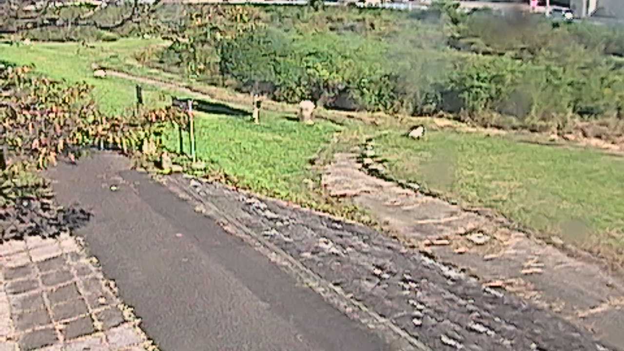 新袋川・袋川　6.2ｋｍ左岸