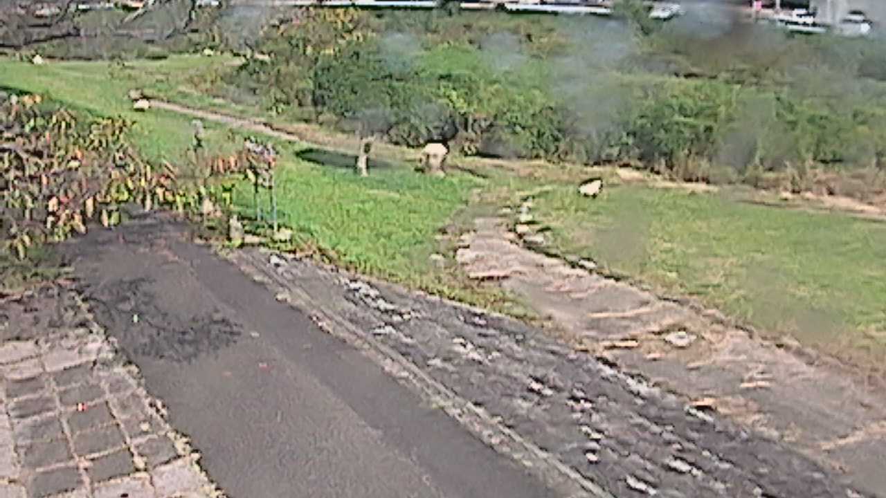 新袋川・袋川　6.2ｋｍ左岸