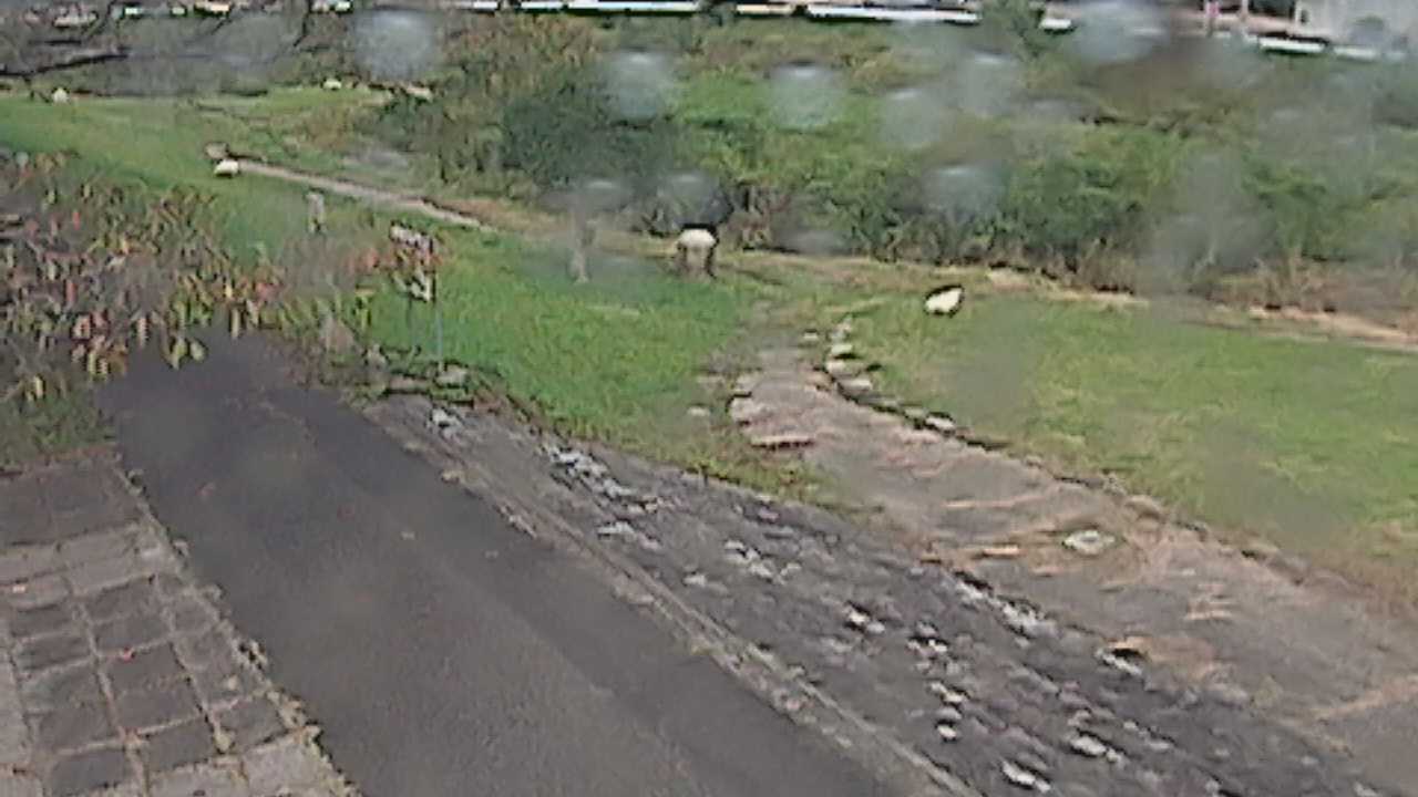 新袋川・袋川　6.2ｋｍ左岸