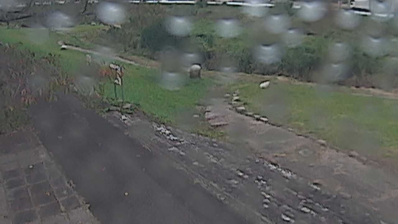 新袋川・袋川　6.2ｋｍ左岸