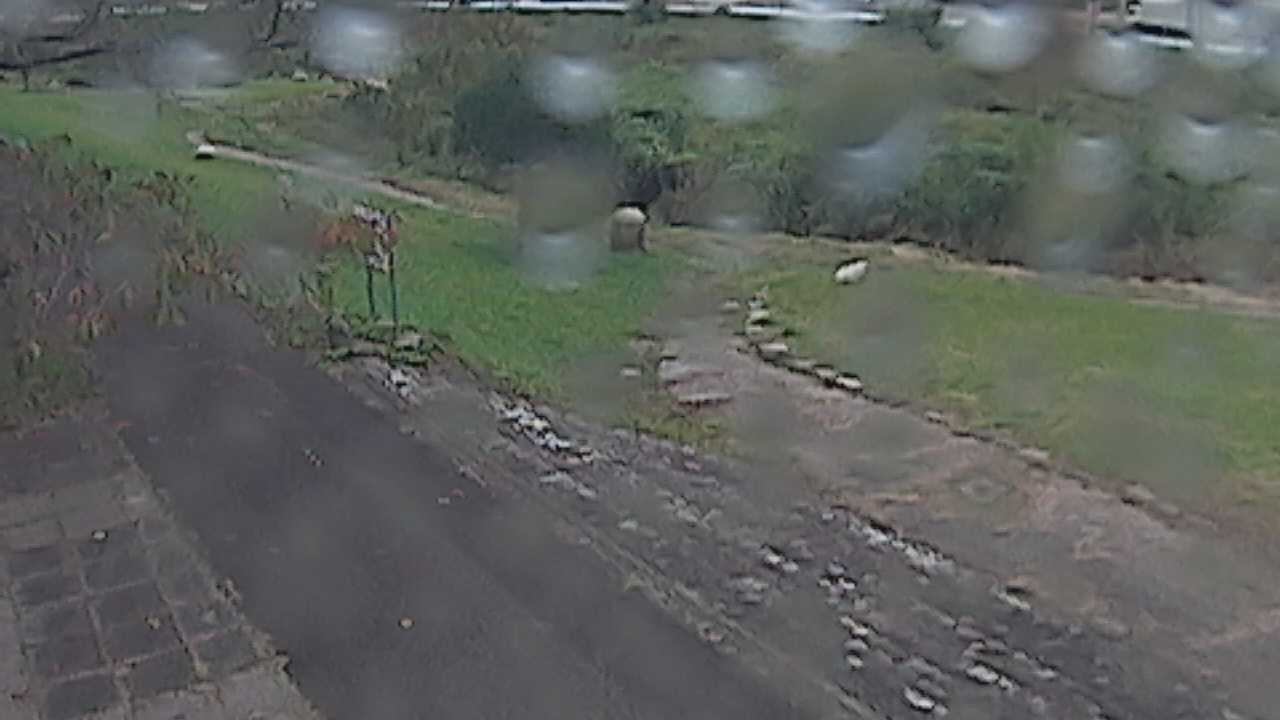 新袋川・袋川　6.2ｋｍ左岸
