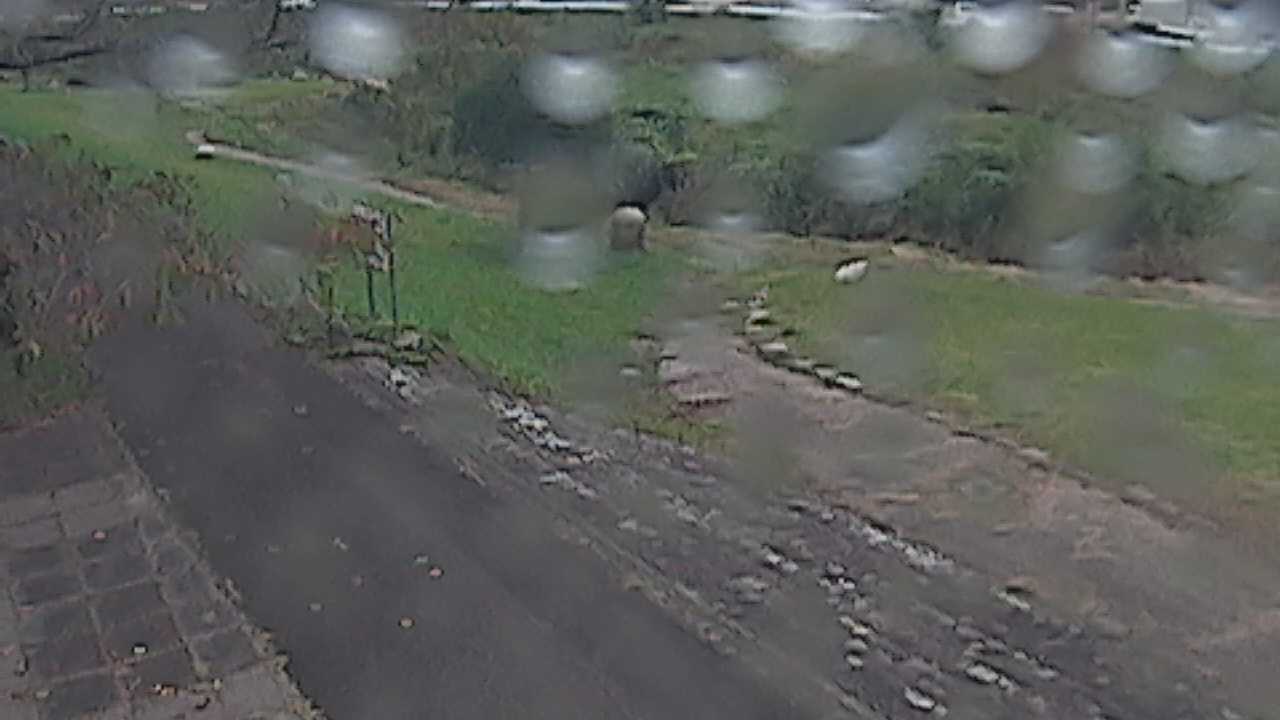 新袋川・袋川　6.2ｋｍ左岸