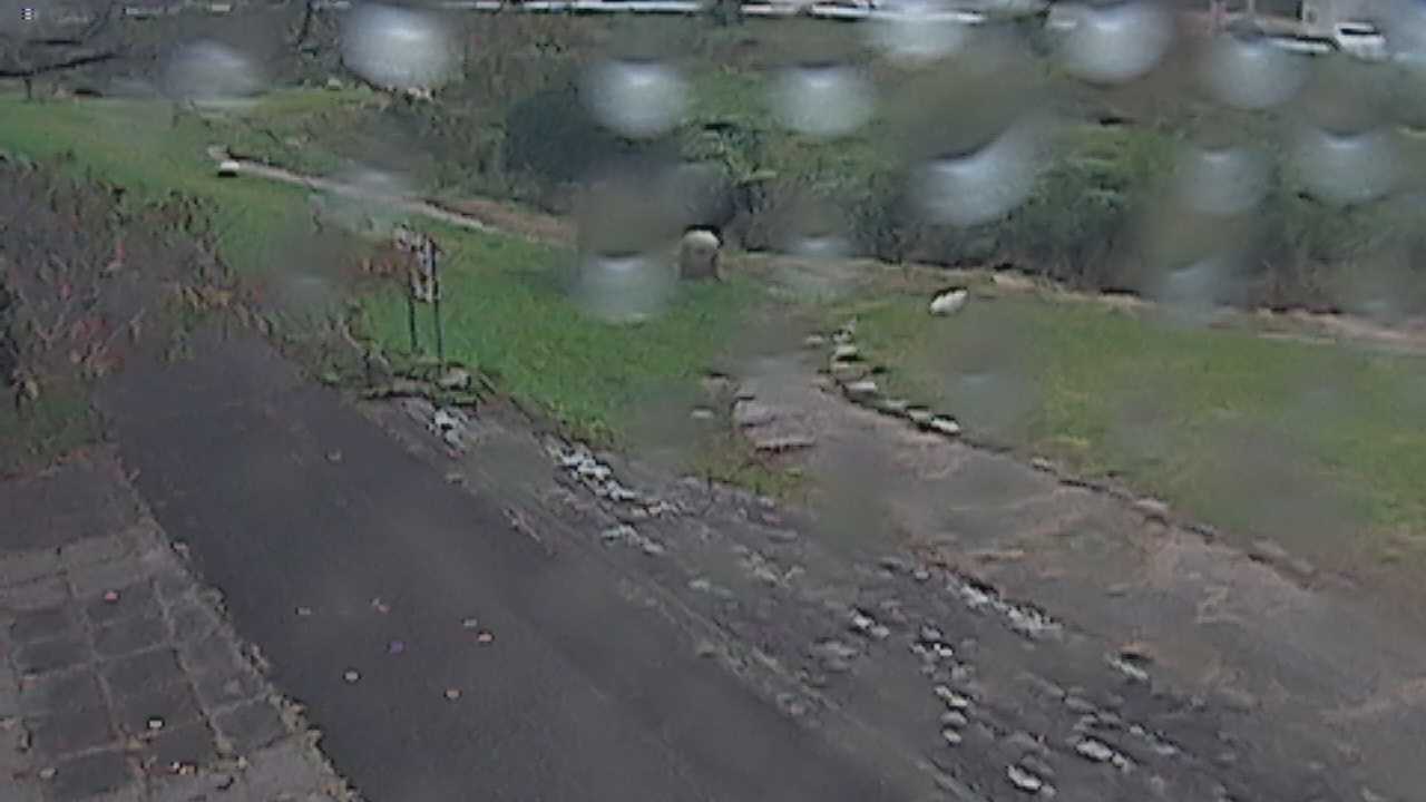 新袋川・袋川　6.2ｋｍ左岸