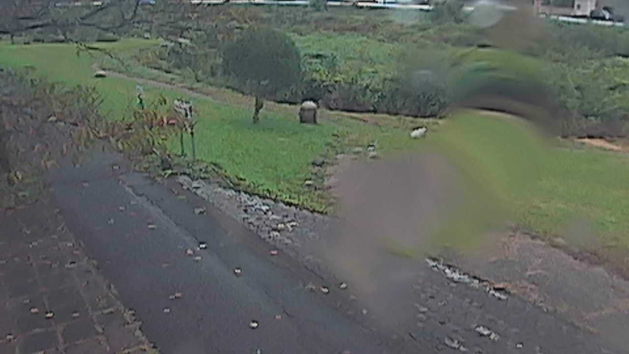 新袋川・袋川　6.2ｋｍ左岸