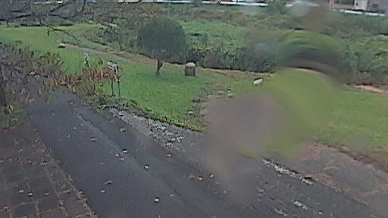 新袋川・袋川　6.2ｋｍ左岸