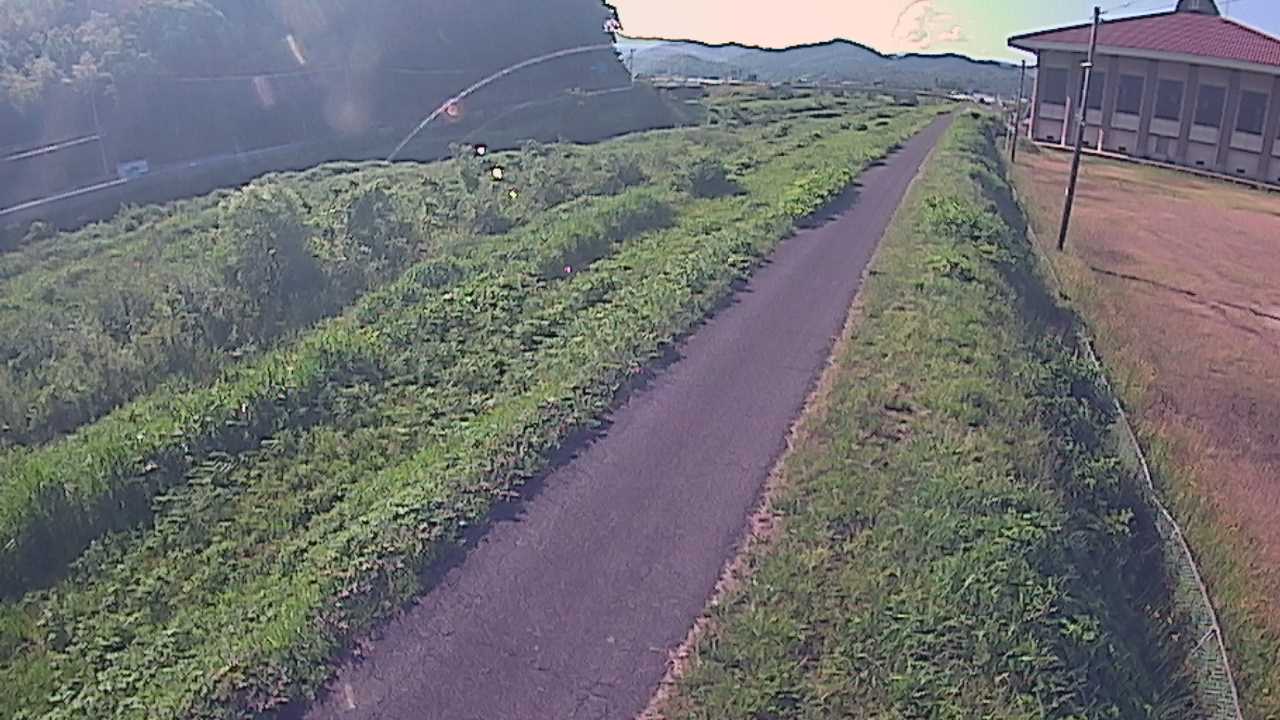 新袋川・袋川　6.6ｋｍ左岸
