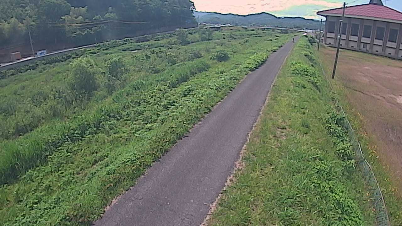 新袋川・袋川　6.6ｋｍ左岸