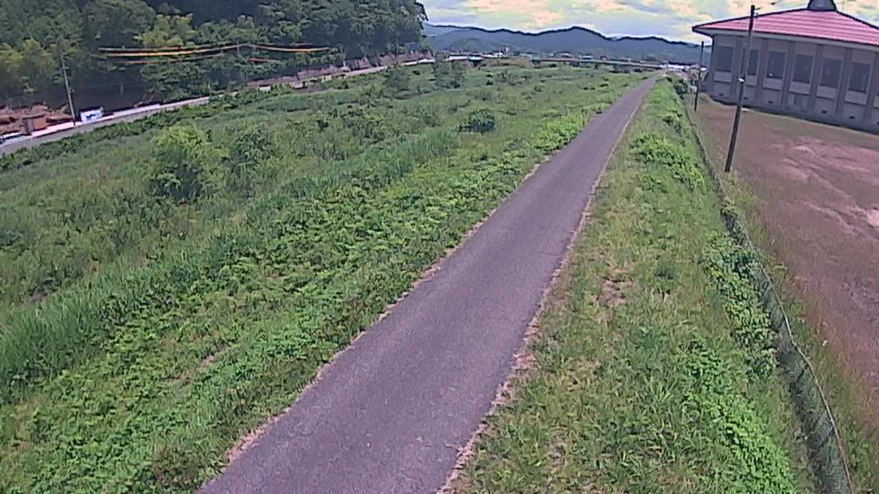 新袋川・袋川　6.6ｋｍ左岸