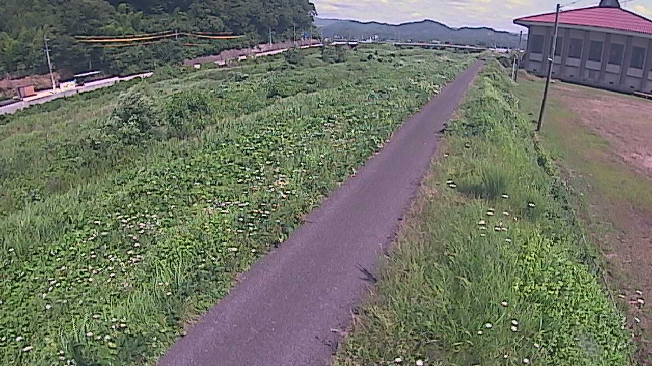 新袋川・袋川　6.6ｋｍ左岸