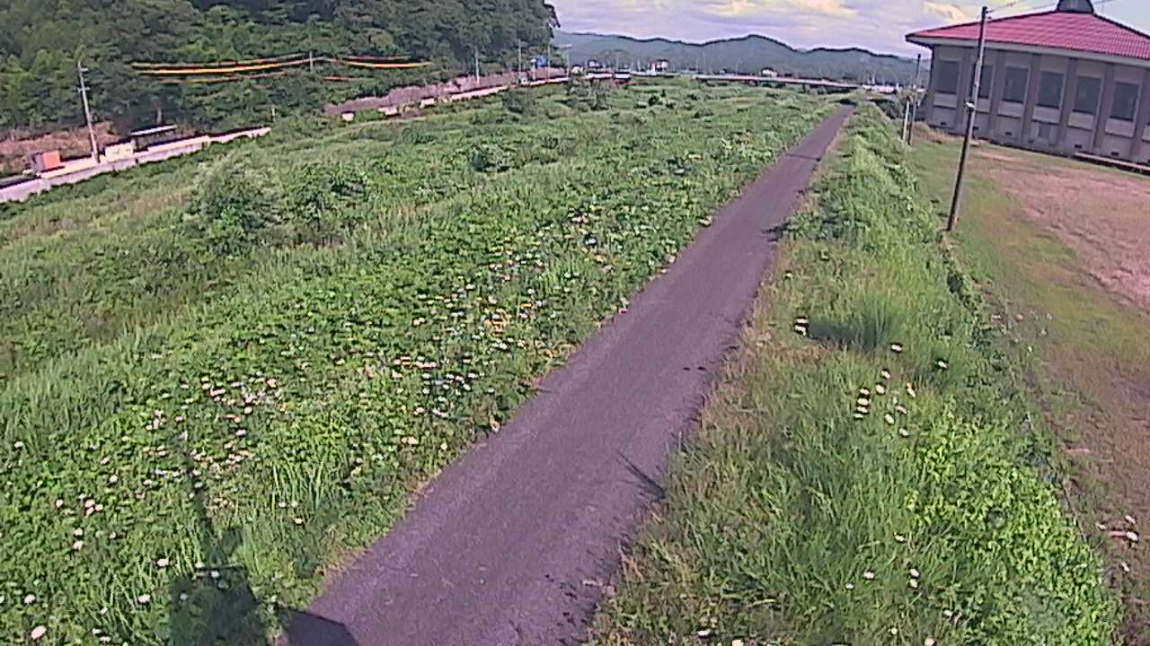 新袋川・袋川　6.6ｋｍ左岸