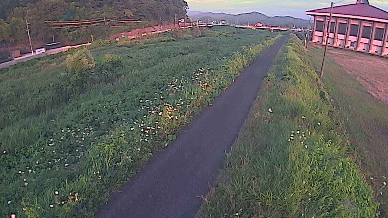新袋川・袋川　6.6ｋｍ左岸