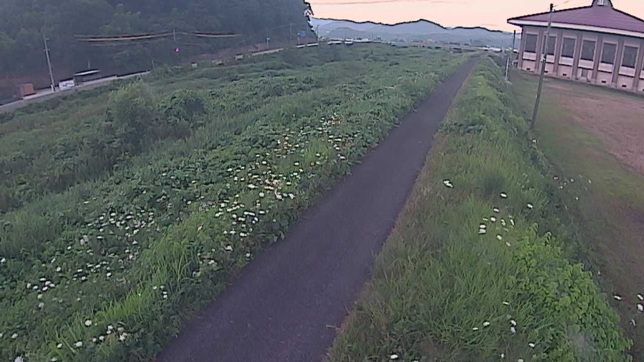 新袋川・袋川　6.6ｋｍ左岸