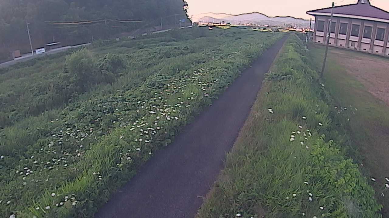新袋川・袋川　6.6ｋｍ左岸