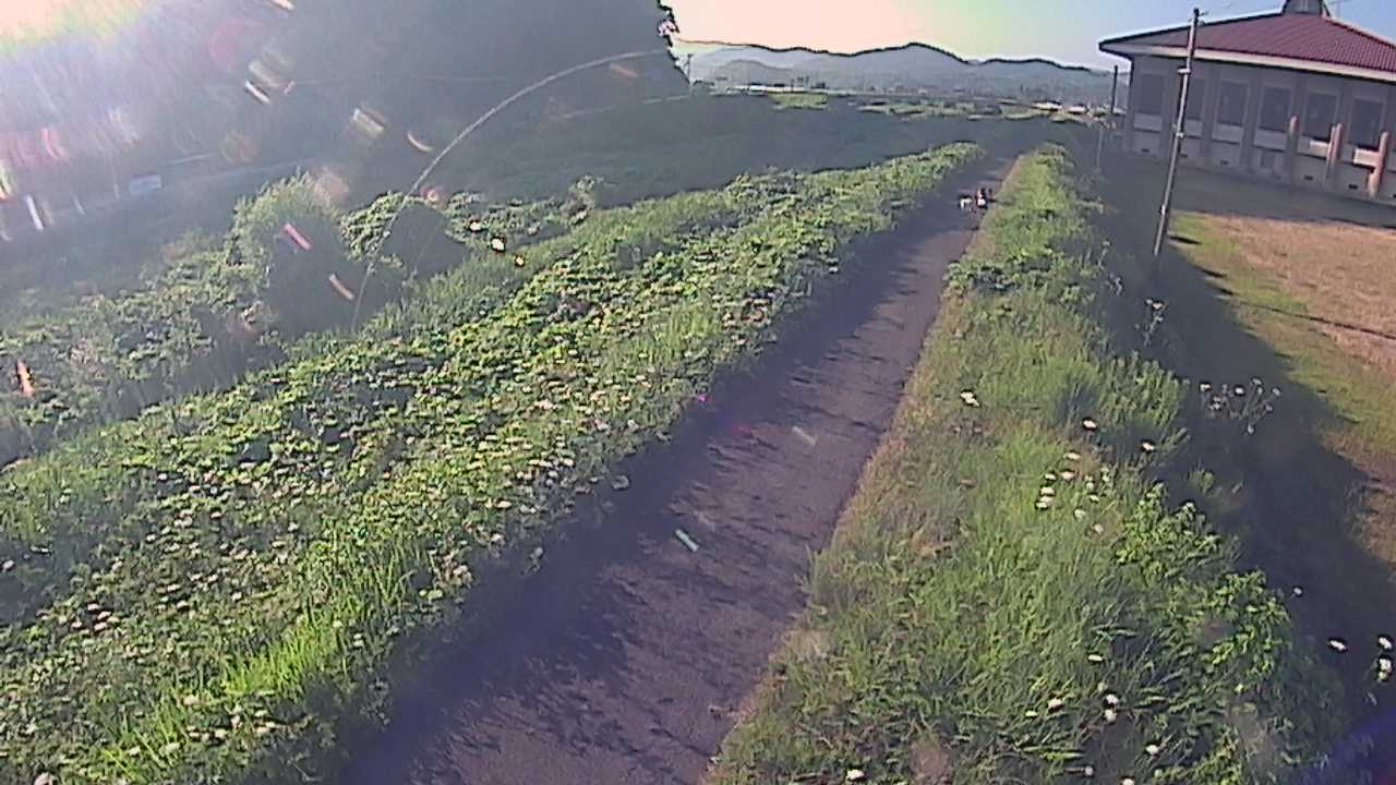 新袋川・袋川　6.6ｋｍ左岸