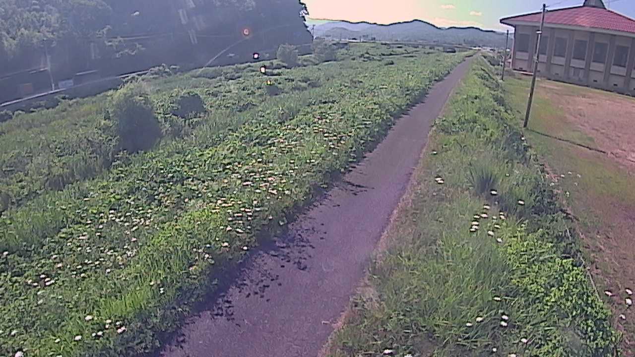 新袋川・袋川　6.6ｋｍ左岸