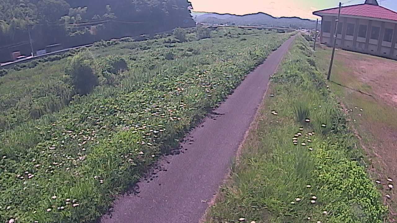 新袋川・袋川　6.6ｋｍ左岸