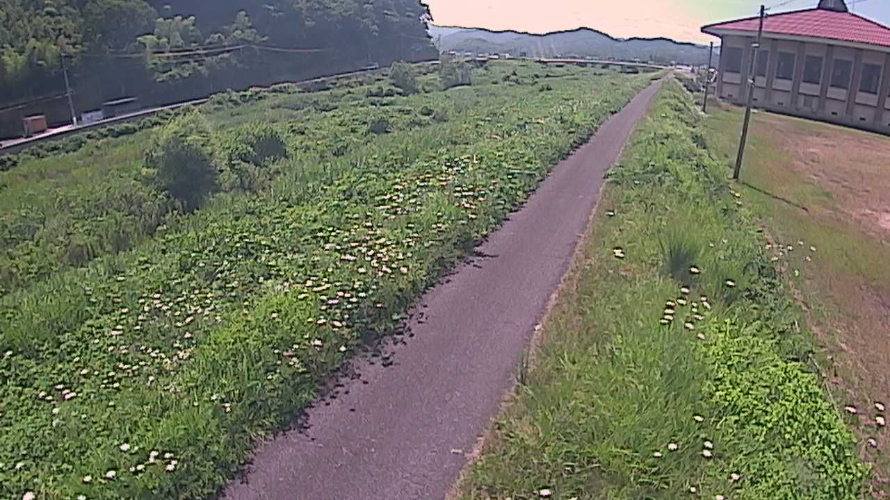 新袋川・袋川　6.6ｋｍ左岸