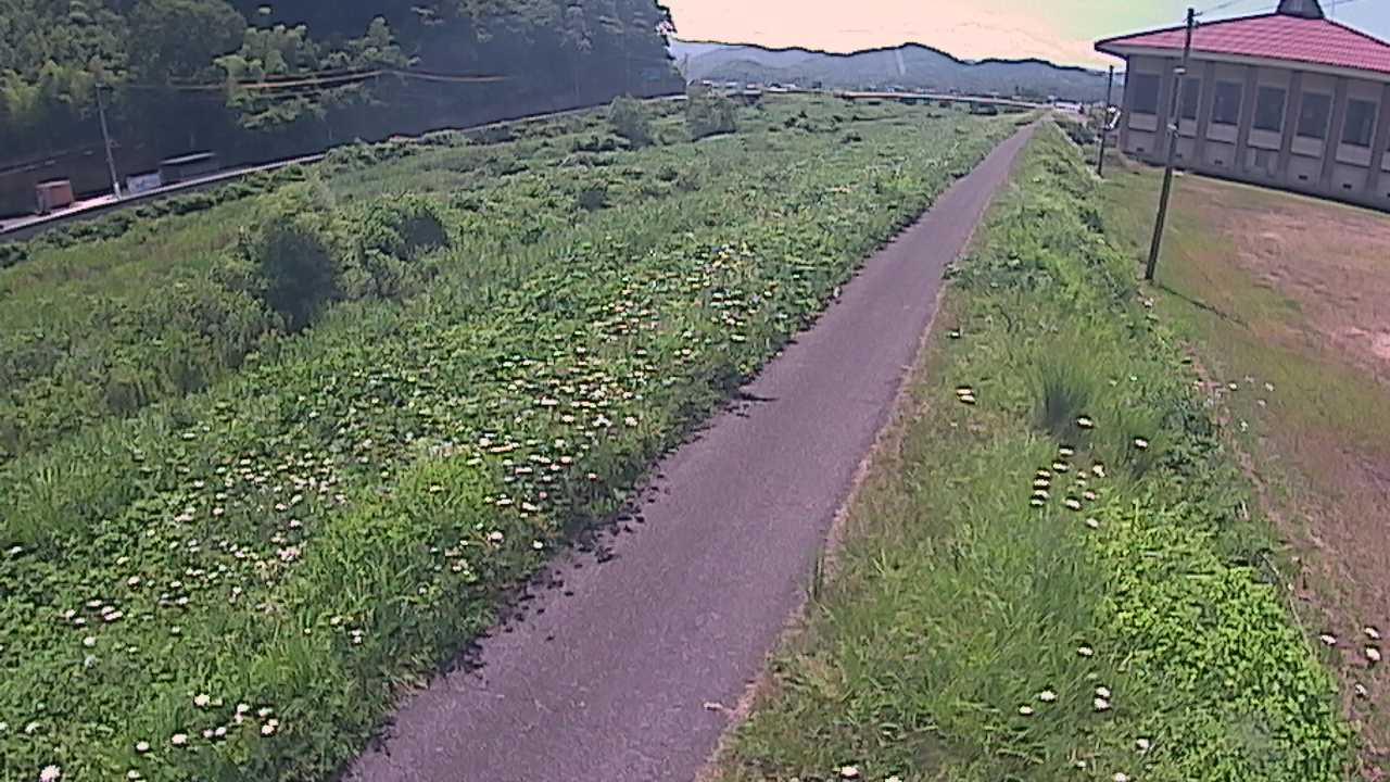 新袋川・袋川　6.6ｋｍ左岸