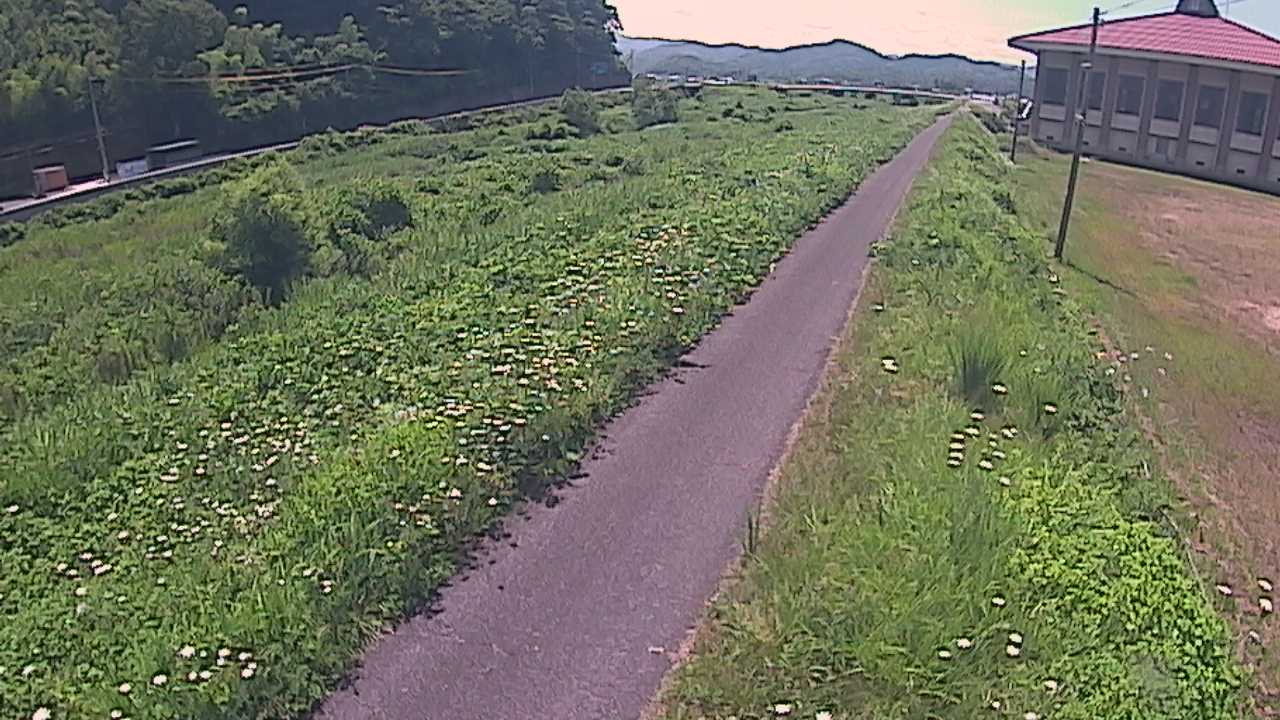新袋川・袋川　6.6ｋｍ左岸