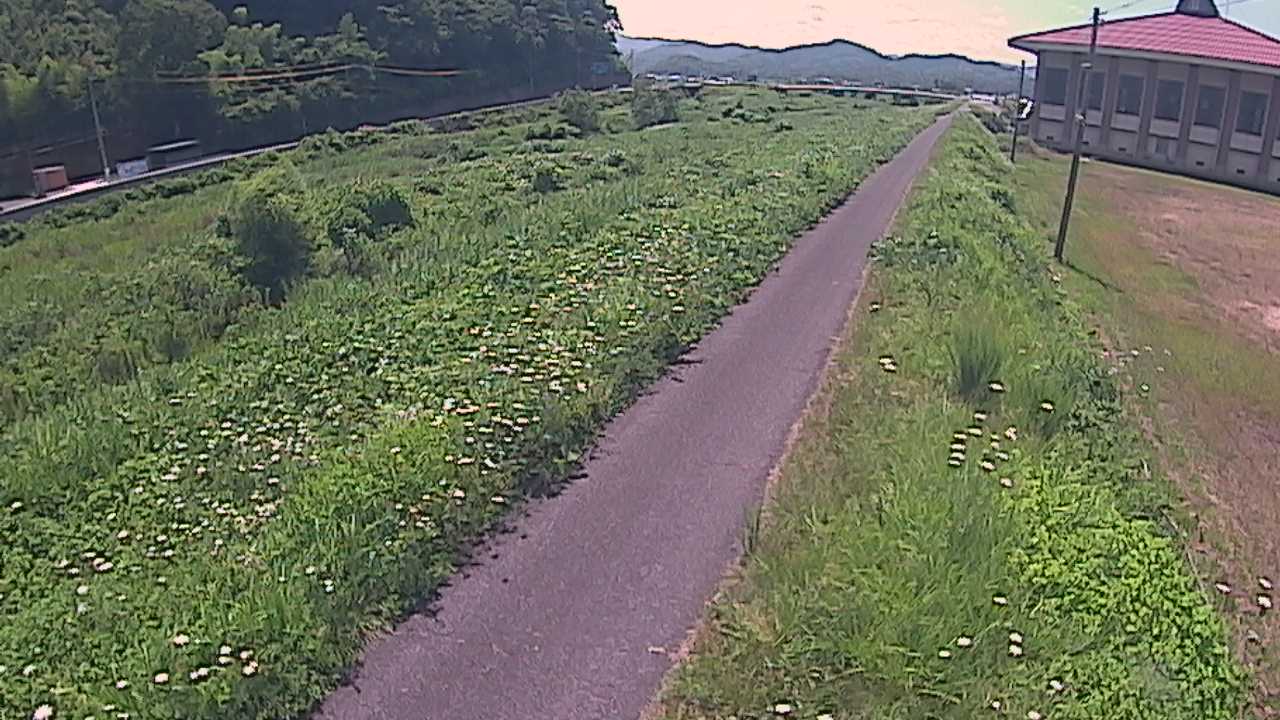 新袋川・袋川　6.6ｋｍ左岸