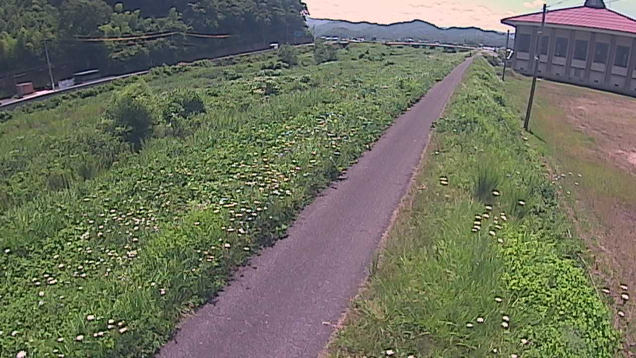 新袋川・袋川　6.6ｋｍ左岸