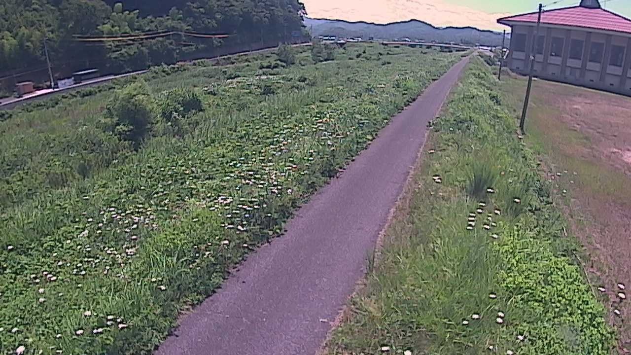 新袋川・袋川　6.6ｋｍ左岸
